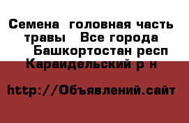 Семена (головная часть))) травы - Все города  »    . Башкортостан респ.,Караидельский р-н